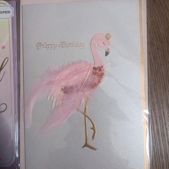 Papyrus Greeting Cards Happy Birthday Lot; 17 Assorted B-day Cards For All♀️♂️⚧️ - Picture 13 of 13